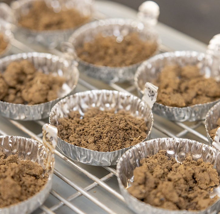 Advanced Soil Health Training