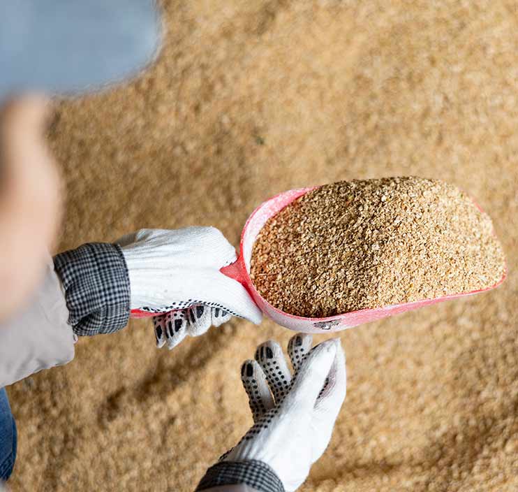 Soybean meal being scooped up by farmer