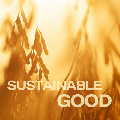 Sustainable Good Soybeans