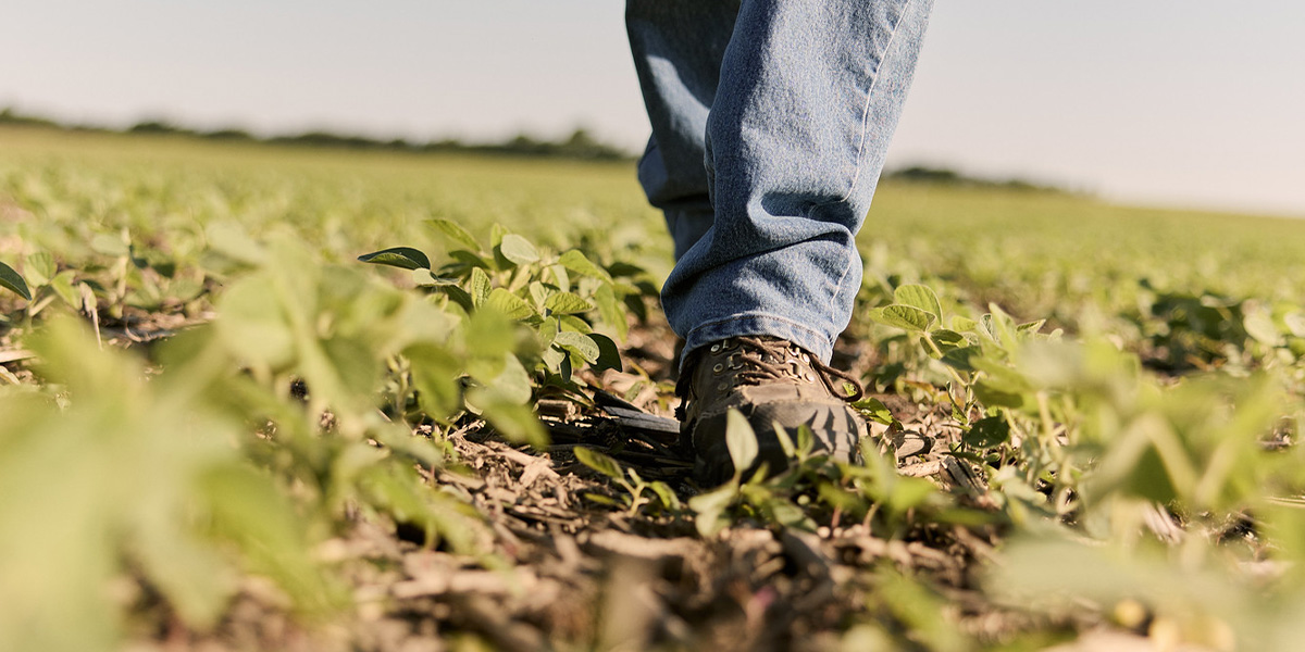 Seed Guide Industry News
