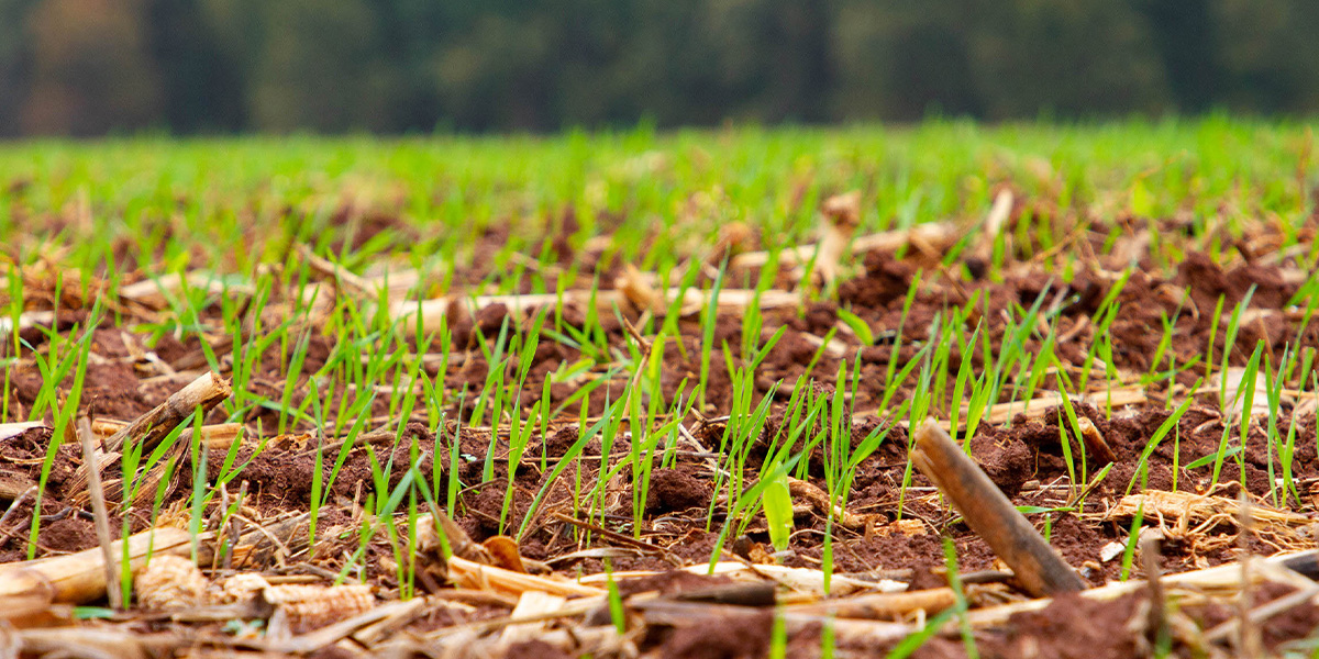 Seed Guide Industry News