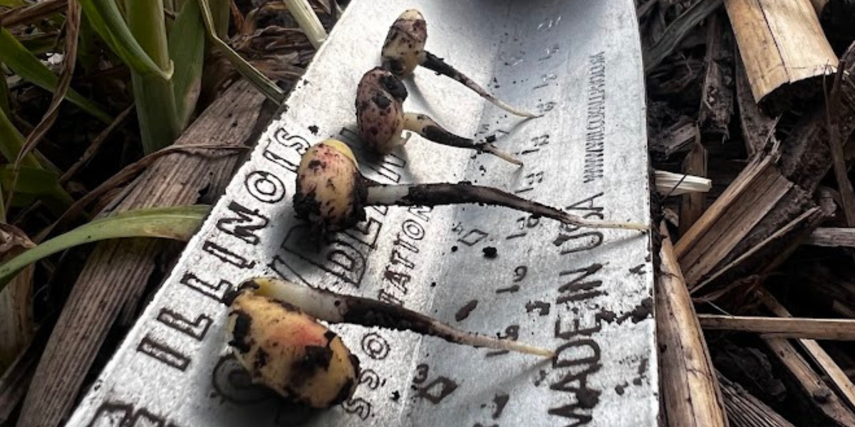 Seed Guide Industry News