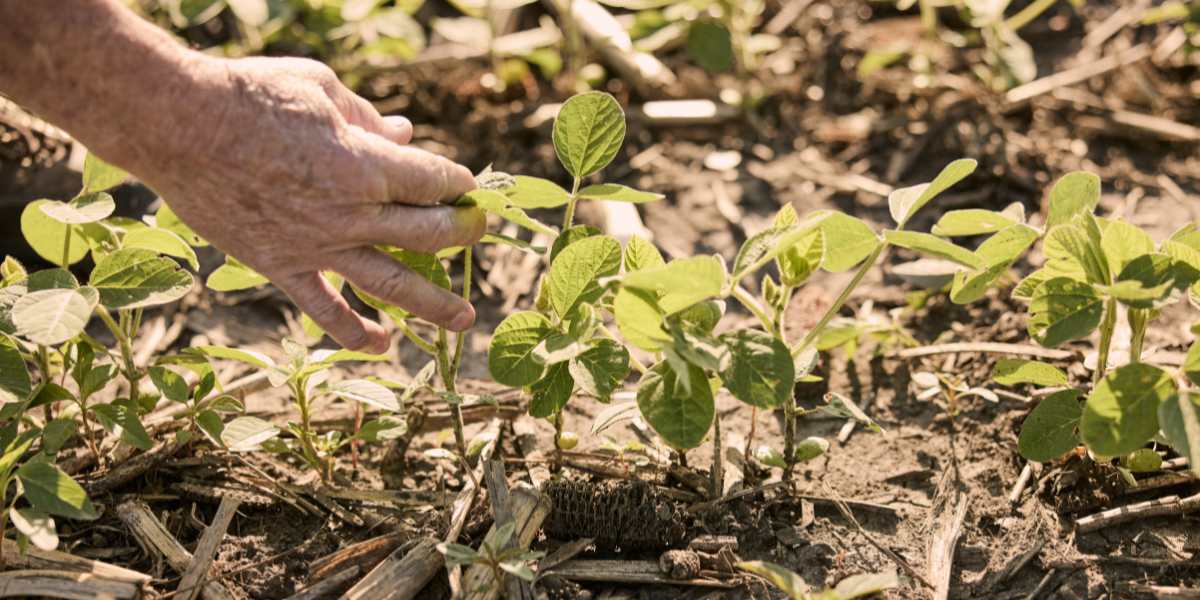 Seed Guide Industry News