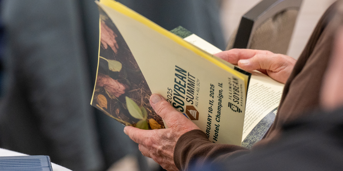 Seed Guide Featured Image
