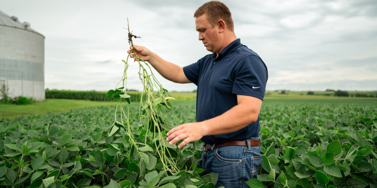 Seed Guide Featured Image