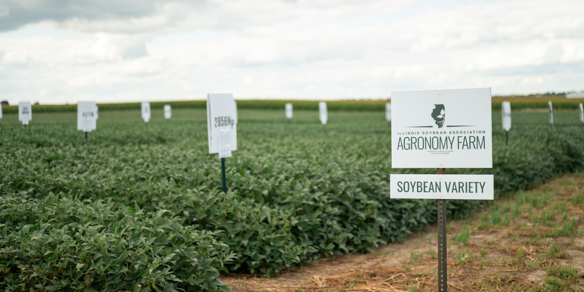 Seed Guide Featured Image