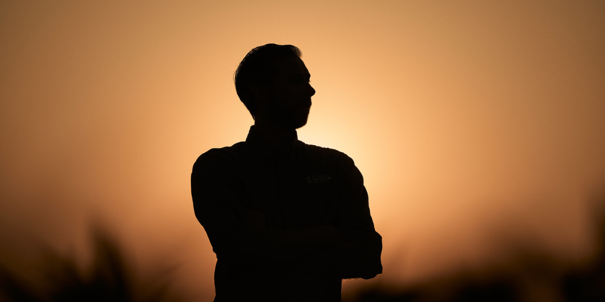 Seed Guide Featured Image