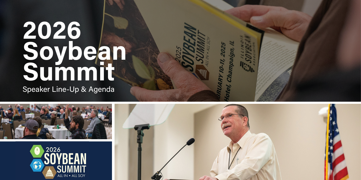 Seed Guide Featured Image