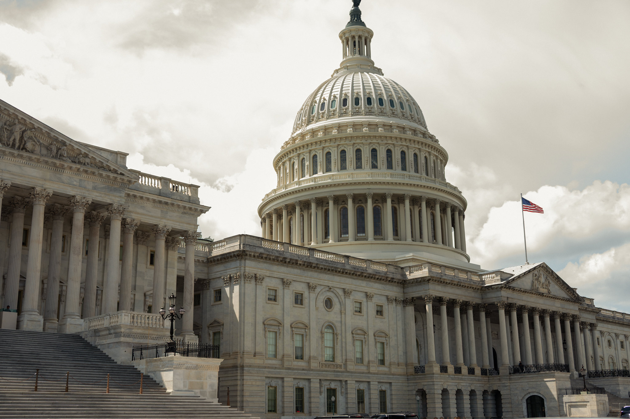 Seed Guide Featured Image