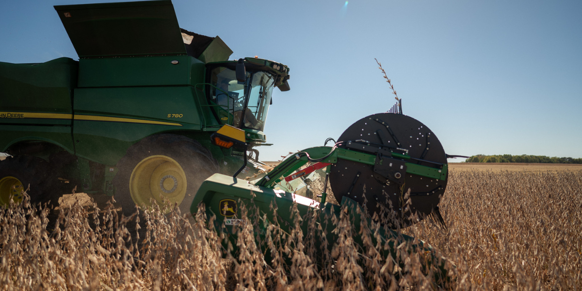 Seed Guide Featured Image