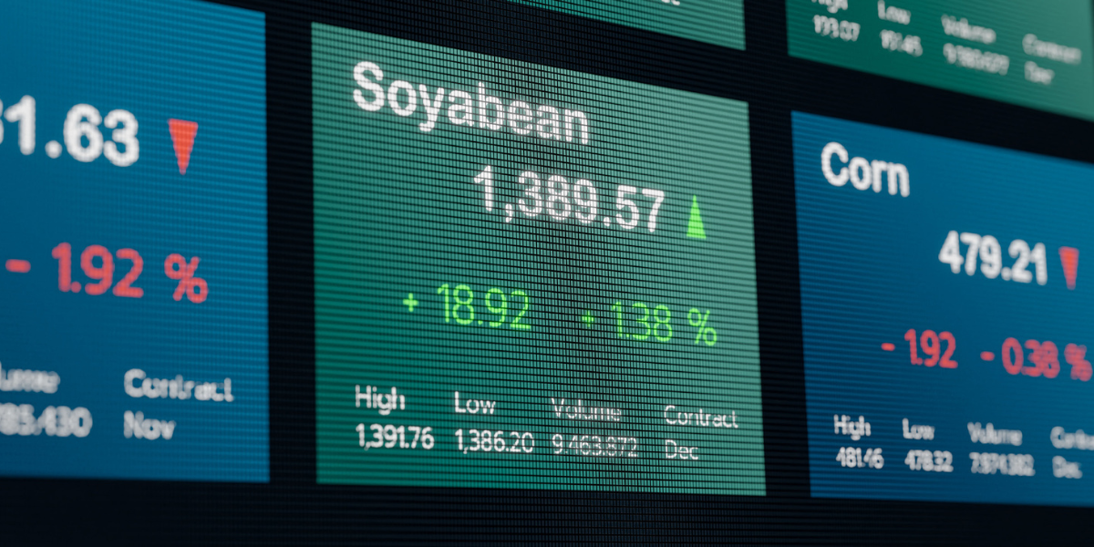 Seed Guide Featured Image