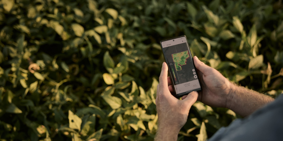 Seed Guide Featured Image