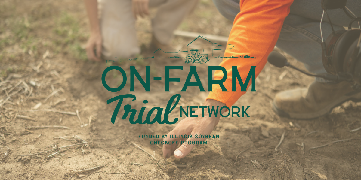 Seed Guide Featured Image