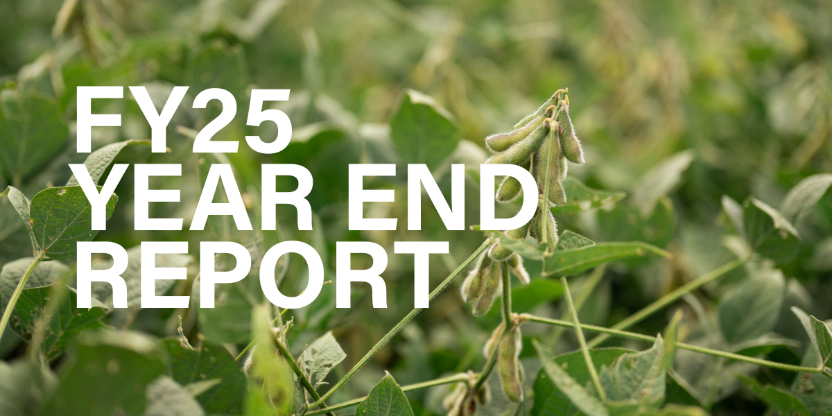 Seed Guide Featured Image