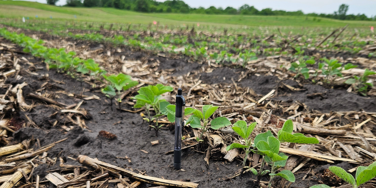 Seed Guide Featured Image