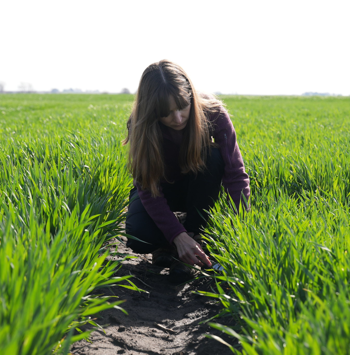 Untitled design (11)