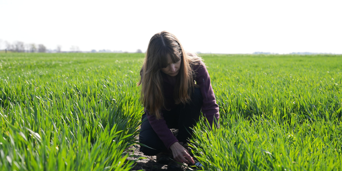 Seed Guide Featured Image