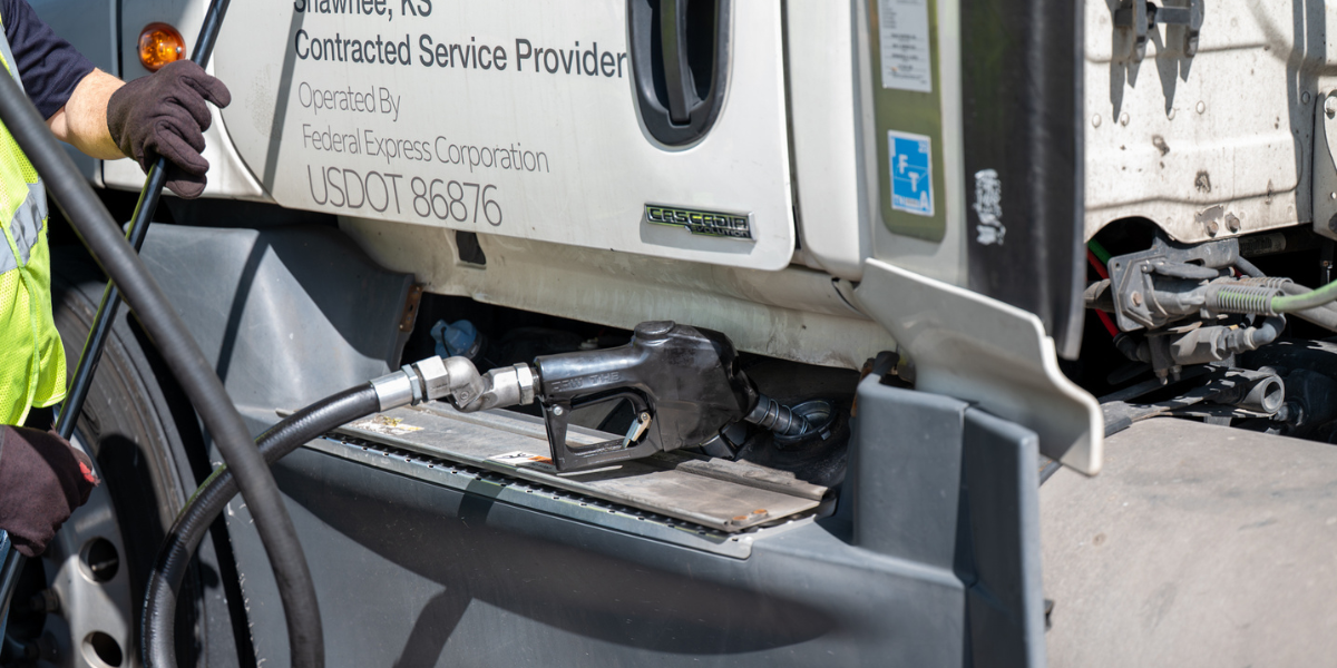 Seed Guide Featured Image