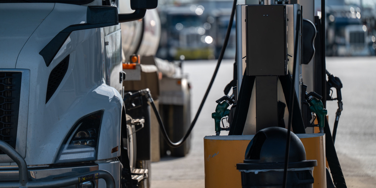 Seed Guide Featured Image