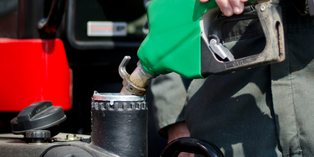 Seed Guide Featured Image