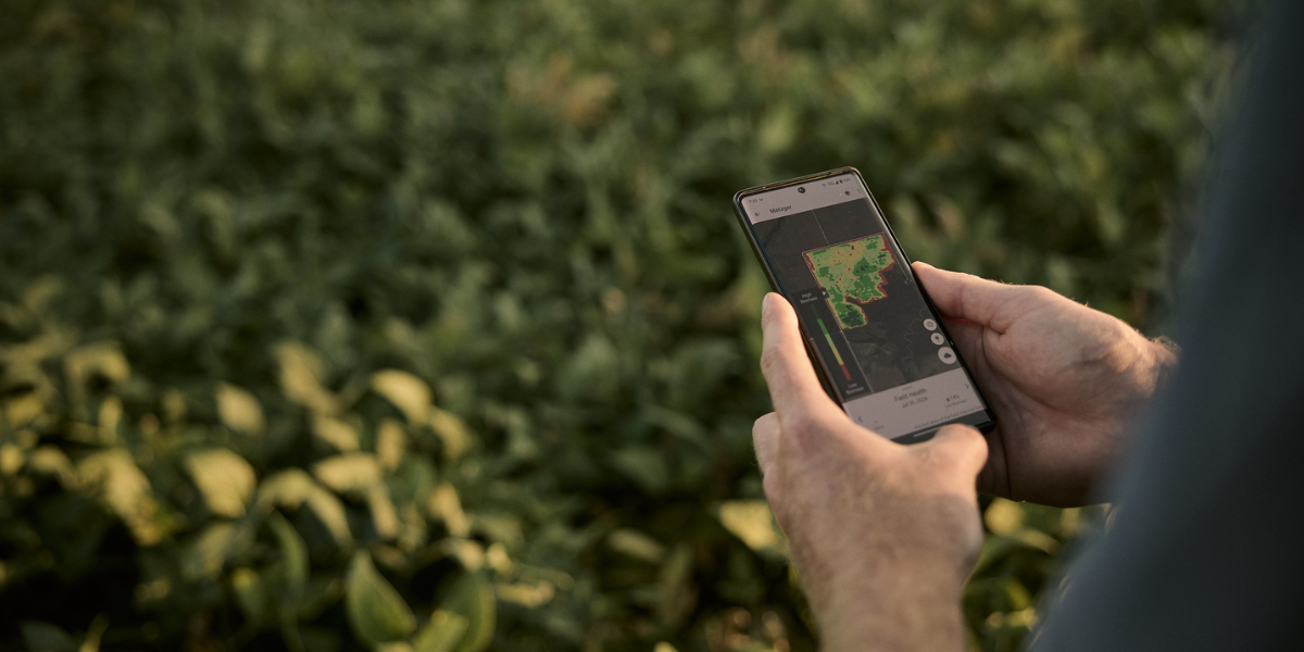 Seed Guide Featured Image