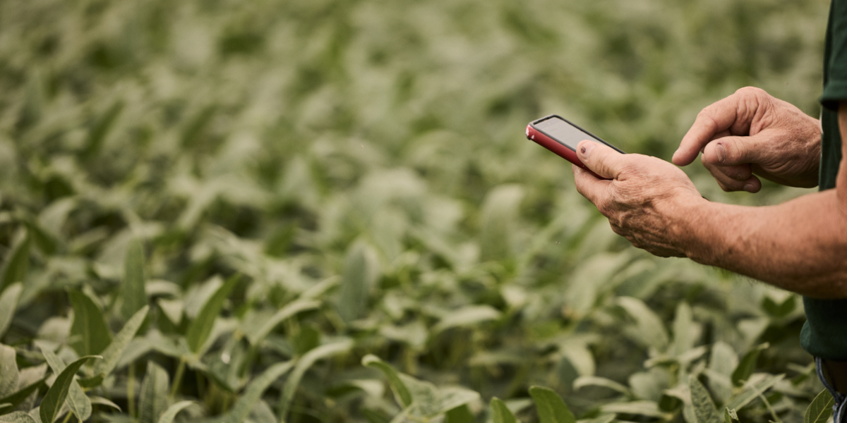 Seed Guide Featured Image