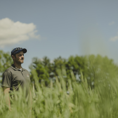 Understanding the Importance of Cover Crop Planting Date